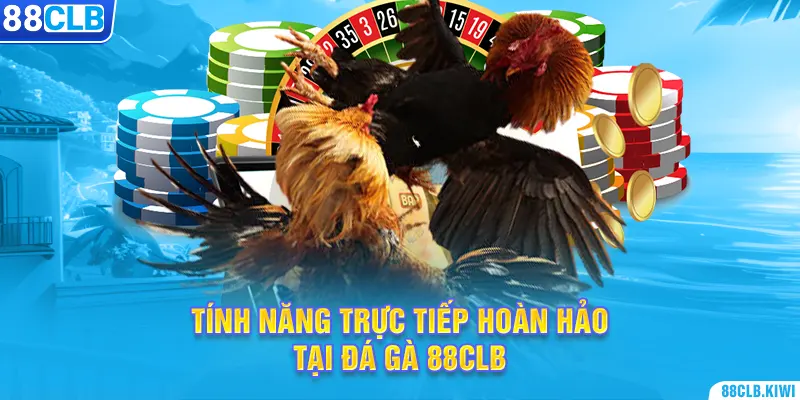 Tính năng trực tiếp hoàn hảo tại đá gà 88CLB